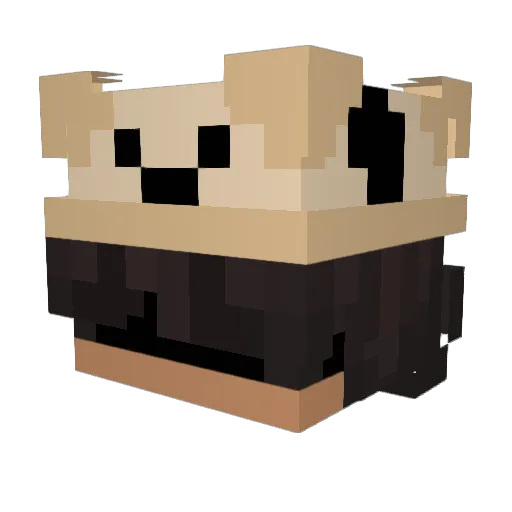 Minecraft-Avatar von ItzPugMe: Kopf als 3D-Render