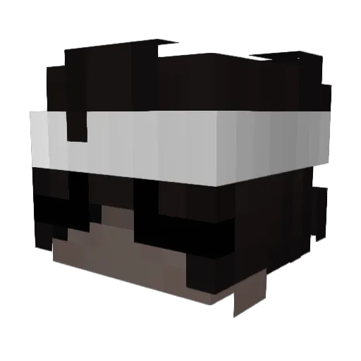 ItzQuinn_ Minecraft avatar head, 3D render