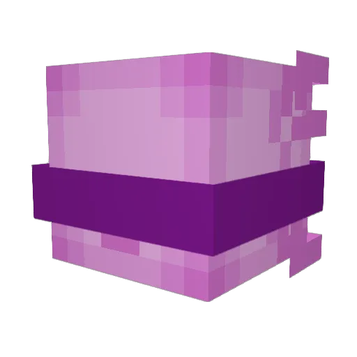 ItzRealPanda1 Minecraft avatar head, 3D render