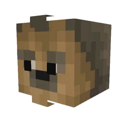 ItzReid27 Minecraft avatar head, 3D render
