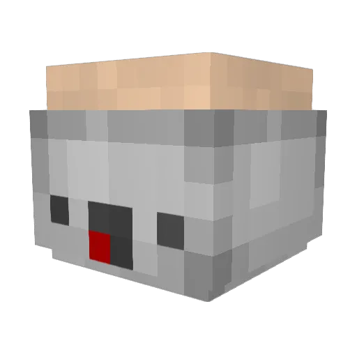 ItzRice123 Minecraft avatar head, 3D render