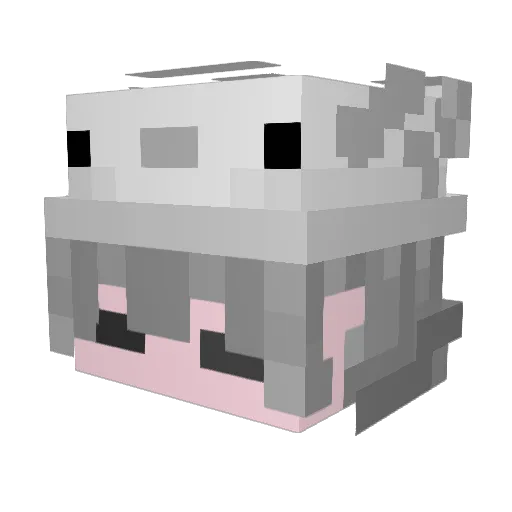 ItzShadowBlade Minecraft avatar head, 3D render