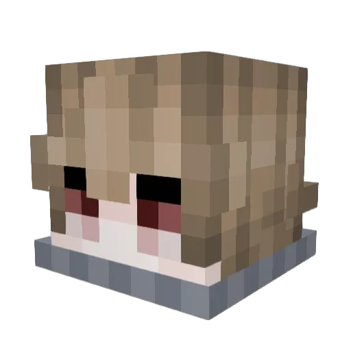 ItzT4SIN Minecraft avatar head, 3D render