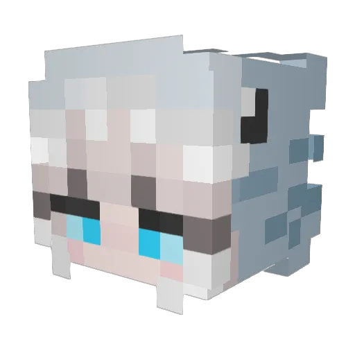 ItzTenyaZER0 Minecraft avatar head, 3D render