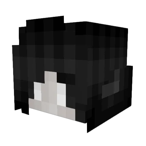 ItzTez Minecraft avatar head, 3D render