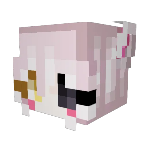 Itz_Cici Minecraft avatar head, 3D render