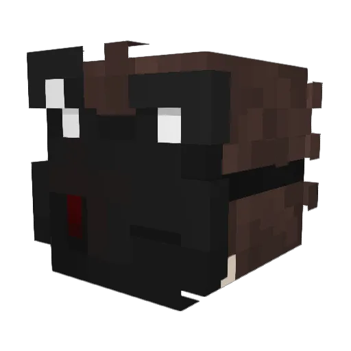 Itz_Drag0n Minecraft avatar head, 3D render