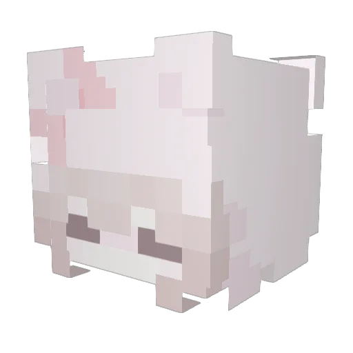 Itz_Flamee Minecraft avatar head, 3D render