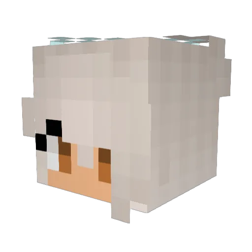 Itz_Kota Minecraft avatar head, 3D render