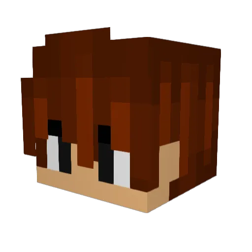 Itz_Me_APPU Minecraft avatar head, 3D render