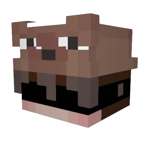Itz_S1las_ Minecraft avatar head, 3D render