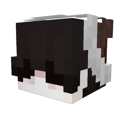 Itz_Soulaarav_ Minecraft avatar head, 3D render