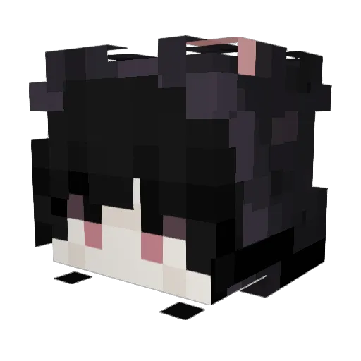 Itz_lee999 Minecraft avatar head, 3D render