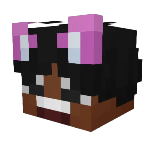 Itzcaseyyy Minecraft avatar head, 3D render
