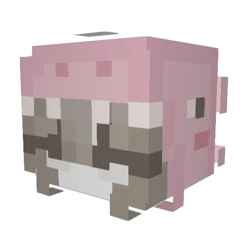 Itzselena22 Minecraft avatar head, 3D render