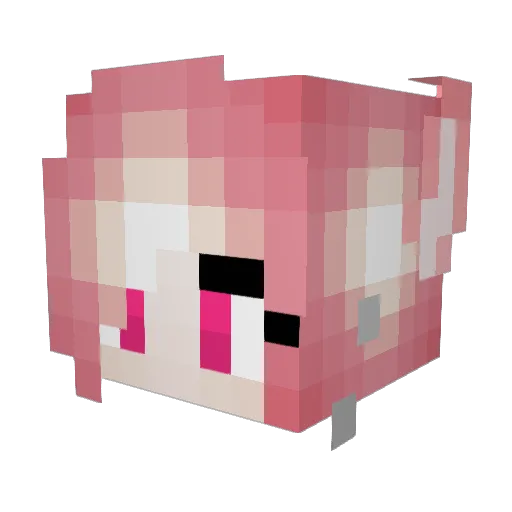 ItzxPoLar Minecraft avatar head, 3D render