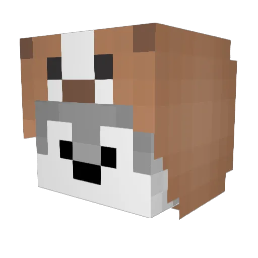 ItzzWolkz Minecraft avatar head, 3D render
