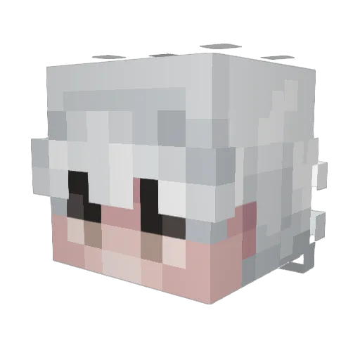 Iukq_Luka Minecraft avatar head, 3D render