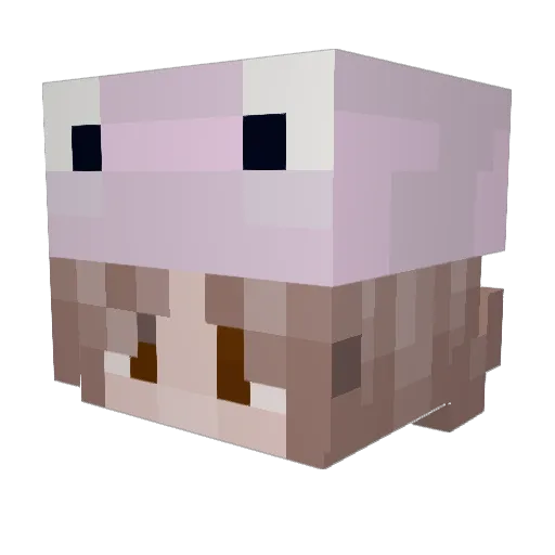 Ivaeny10 Minecraft avatar head, 3D render