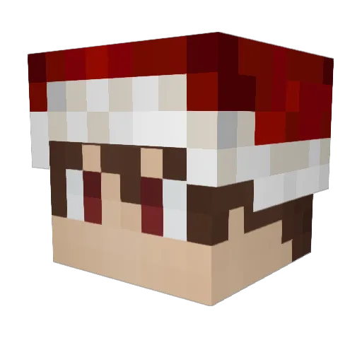 Ivane0 Minecraft avatar head, 3D render
