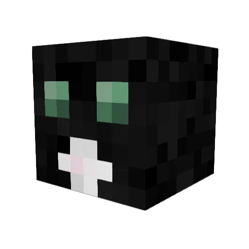 Ivardegrote3 Minecraft avatar head, 3D render