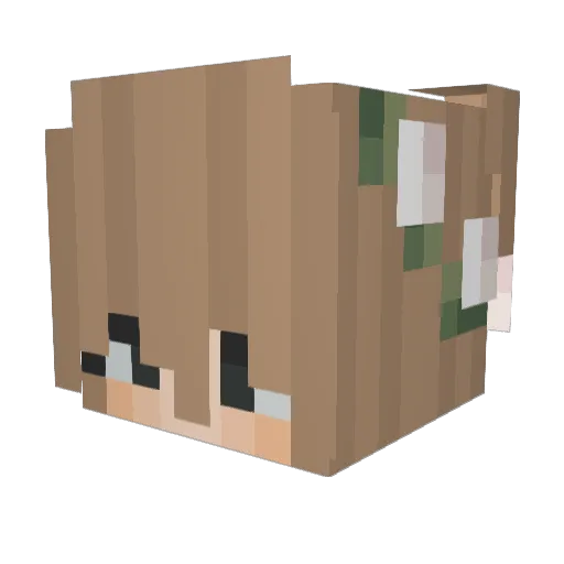 IveelBlack Minecraft avatar head, 3D render