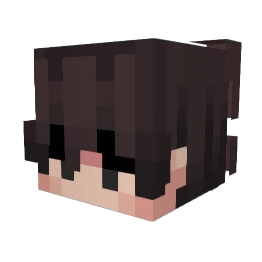 Ives19_ Minecraft avatar head, 3D render