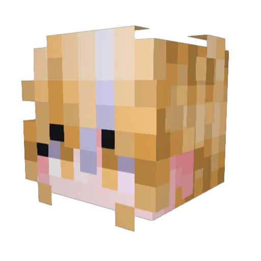 Ivilia Minecraft avatar head, 3D render