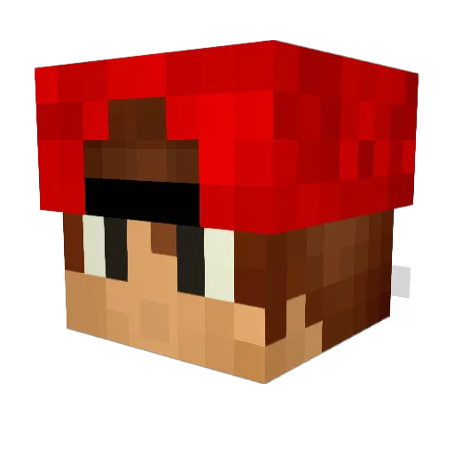 IvisableCookie Minecraft avatar head, 3D render