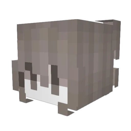 Ivisha Minecraft avatar head, 3D render