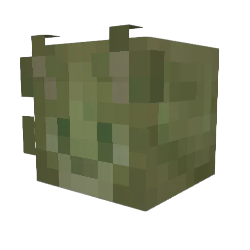 Ivivo Minecraft avatar head, 3D render