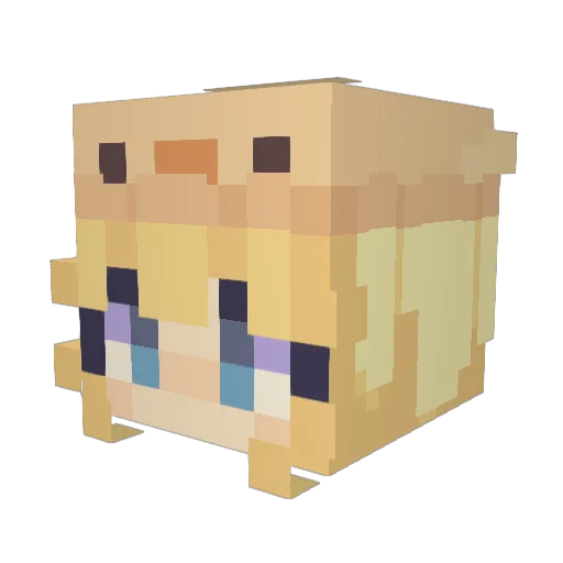 Ivoo207 Minecraft avatar head, 3D render