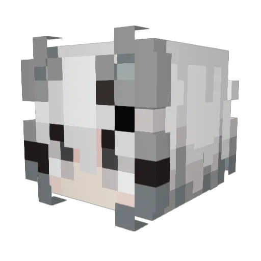 Ivoriis Minecraft avatar head, 3D render