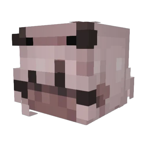 IvyZz03 Minecraft avatar head, 3D render