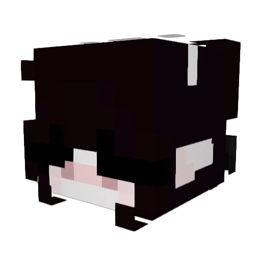 Ivy_sas Minecraft avatar head, 3D render