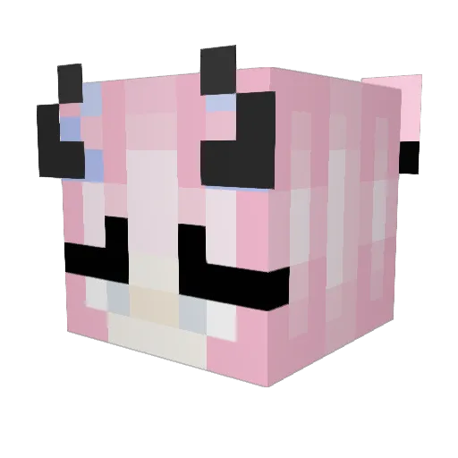 Ivycherrypie Minecraft avatar head, 3D render
