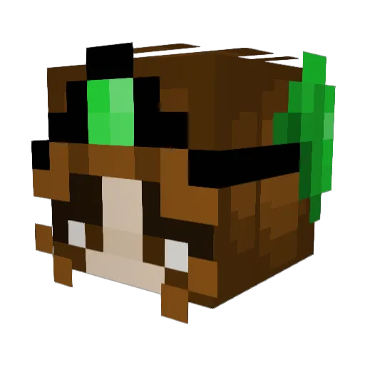 IvytheAnti_nerd2 Minecraft avatar head, 3D render