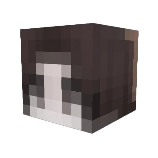 IvywolfPoisonivy Minecraft avatar head, 3D render