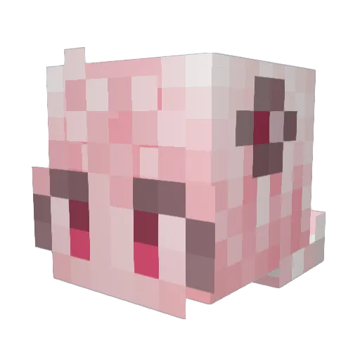 Iwan0555 Minecraft avatar head, 3D render
