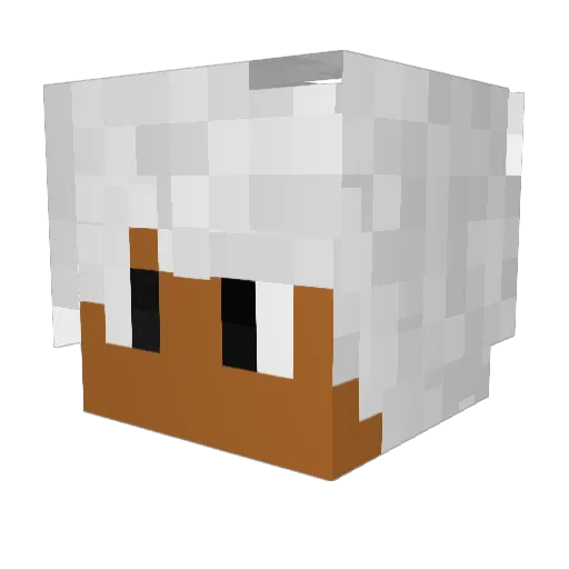 Iwashy Minecraft avatar head, 3D render