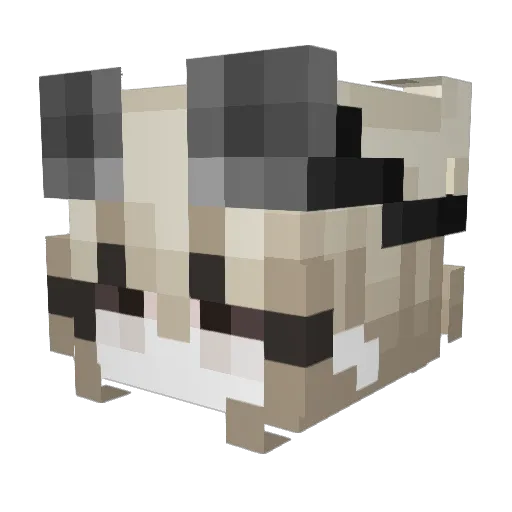 Iwo4 Minecraft avatar head, 3D render