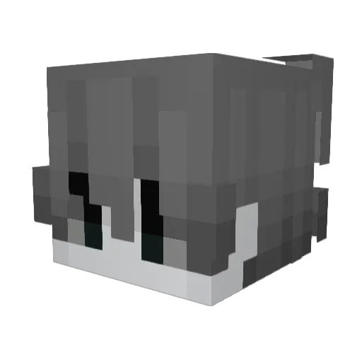 Iwon44 Minecraft avatar head, 3D render