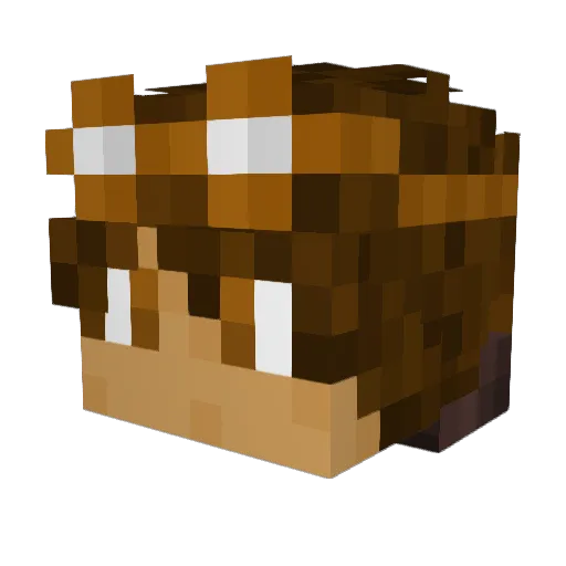 Iwson Minecraft avatar head, 3D render