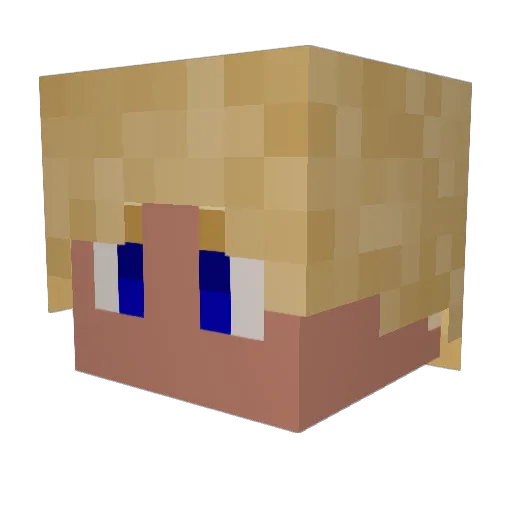 Ix11 Minecraft avatar head, 3D render