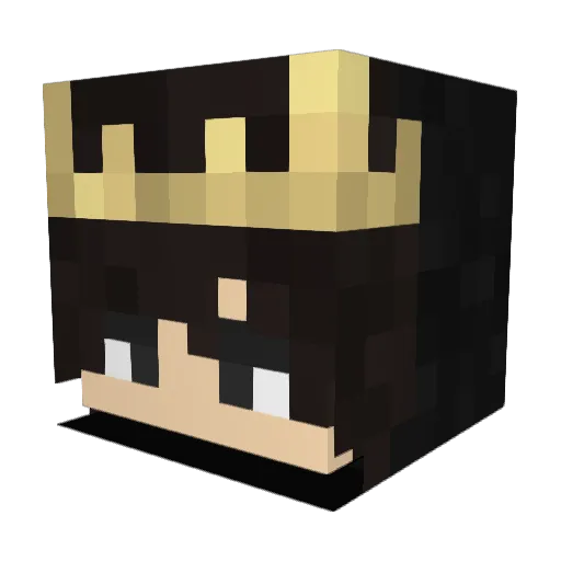 Ix_Turkipro Minecraft avatar head, 3D render