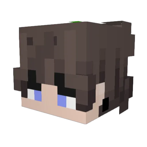 IxielOceanLord Minecraft avatar head, 3D render