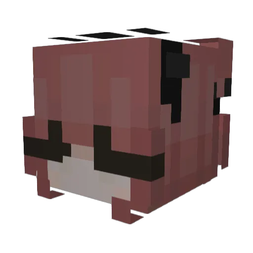 Ixorphis Minecraft avatar head, 3D render