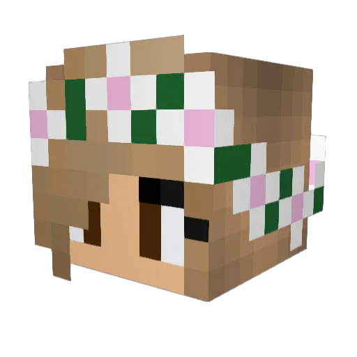 Iz_Biz Minecraft avatar head, 3D render