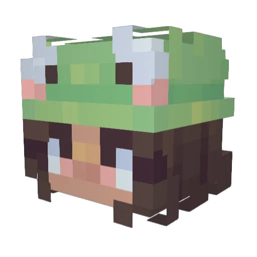 Izaaa4067 Minecraft avatar head, 3D render