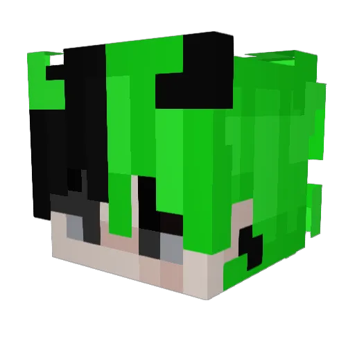 Izbechillin Minecraft avatar head, 3D render